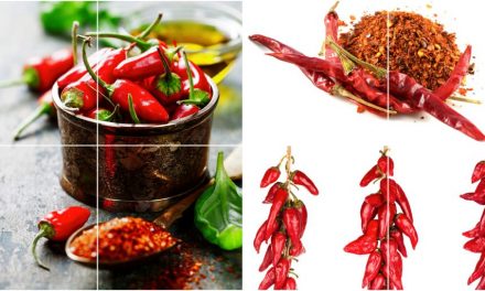 Chili hot pepper Scharfer Paprika Capsicum | Periodics® Table of Spices